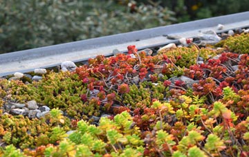 the cost of Abbotsford green roof installation