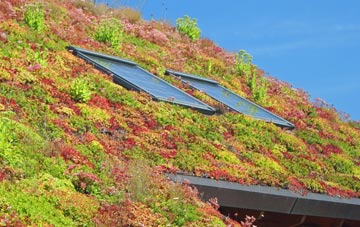 Abbotsford living roof systems