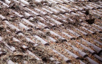 Abbotsford roof cleaning companies