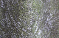 Abbotsford fibreglass roof work